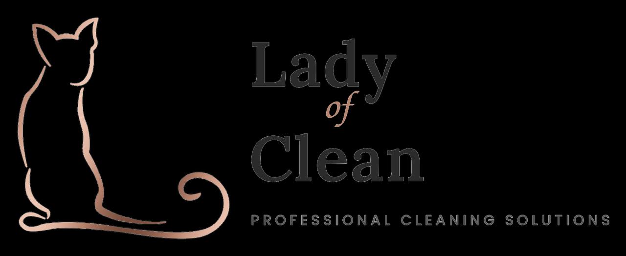 Lady of Clean Transparent Logo